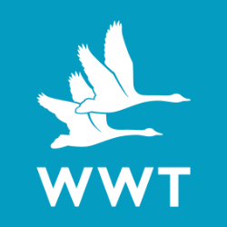 Letters 'WWT' with image of two birds flying